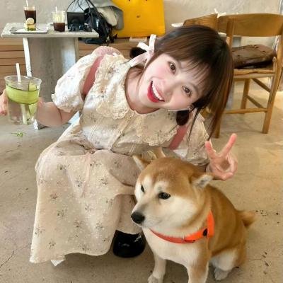 熊族之旅